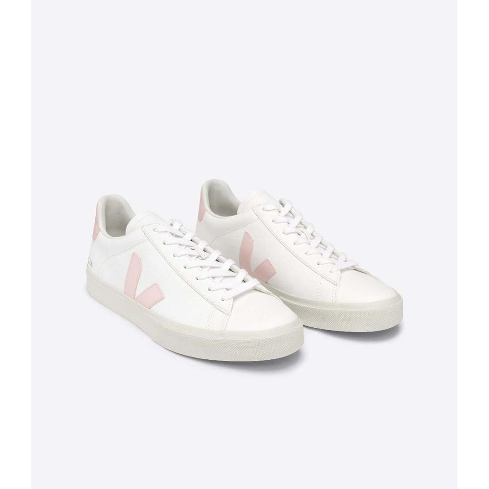 Veja CAMPO CHROMEFREE Low Tops Sneakers Dames White/Pink | BE 463KOR